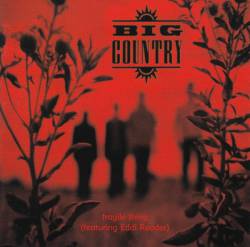 Big Country : Fragile Thing (ft. Eddi Reader)